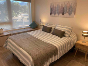 Exclusivo departamento nuevo en Pucon